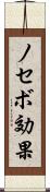 ノセボ効果 Scroll