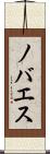 ノバエス Scroll