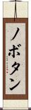 ノボタン Scroll