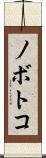 ノボトコ Scroll