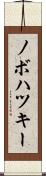 ノボハツキー Scroll