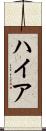 ハイア Scroll