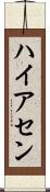 ハイアセン Scroll