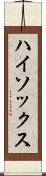 ハイ・ソックス Scroll
