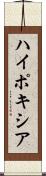 ハイポキシア Scroll