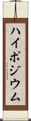 ハイポジウム Scroll