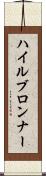 ハイルブロンナー Scroll