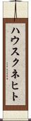 ハウスクネヒト Scroll