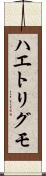 ハエトリグモ Scroll