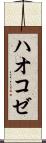 ハオコゼ Scroll