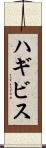 ハギビス Scroll