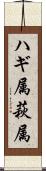 ハギ属 Scroll