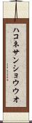 ハコネサンショウウオ Scroll