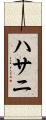 ハサニ Scroll