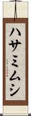 ハサミムシ Scroll