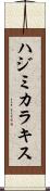 ハジミカラキス Scroll