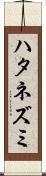 ハタネズミ Scroll