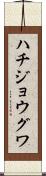 ハチジョウグワ Scroll