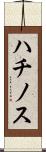 ハチノス Scroll