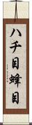 ハチ目 Scroll