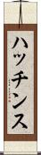 ハッチンス Scroll