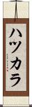 ハツカラ Scroll