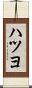 ハツヨ Scroll