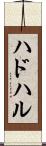 ハドハル Scroll