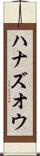 ハナズオウ Scroll
