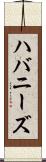 ハバニーズ Scroll