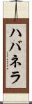 ハバネラ Scroll