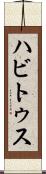 ハビトゥス Scroll