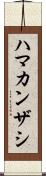 ハマカンザシ Scroll