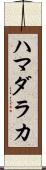 ハマダラカ Scroll
