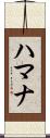 Hamana Scroll