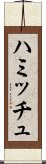 ハミッチュ Scroll