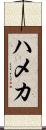ハメカ Scroll