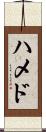 ハメド Scroll