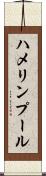 ハメリンプール Scroll
