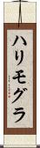 ハリモグラ Scroll
