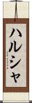ハルシャ Scroll