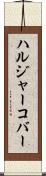 ハルジャーコバー Scroll