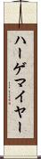 ハーゲマイヤー Scroll