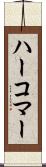 ハーコマー Scroll