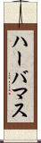 ハーバマス Scroll