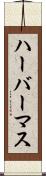 ハーバーマス Scroll