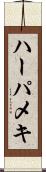 ハーパメキ Scroll