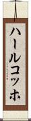 ハールコッホ Scroll