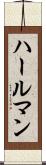 ハールマン Scroll