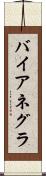 バイアネグラ Scroll